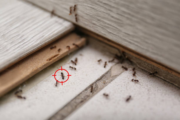 Best Exterminator Services  in Vienna, VA
