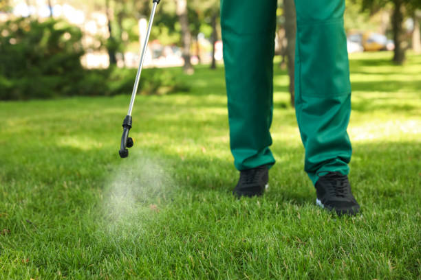 Best Pest Inspection Near Me  in Vienna, VA