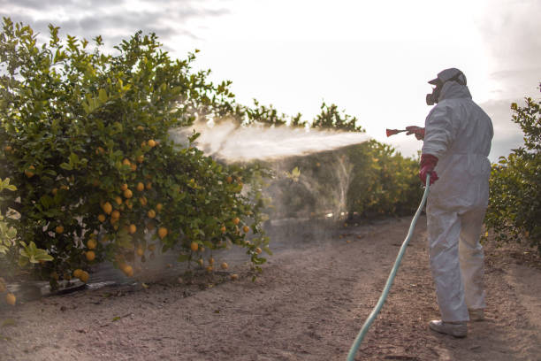 Best Emergency Pest Control  in Vienna, VA