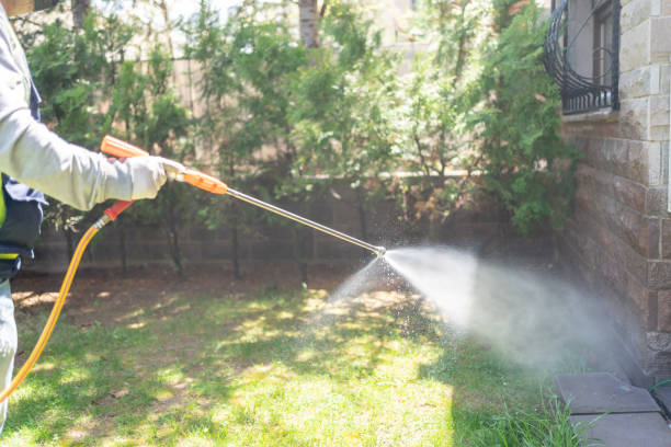 Best Pest Control for Homes  in Vienna, VA